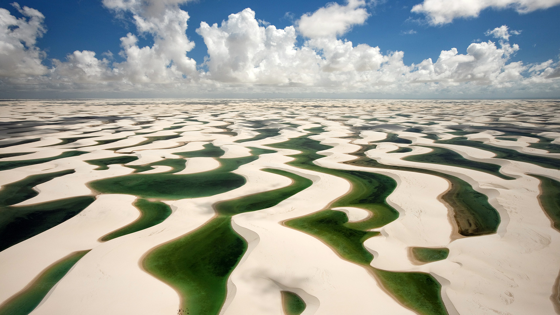 世界华裔运动员在多项赛事斩获佳绩，十佳华裔运动员