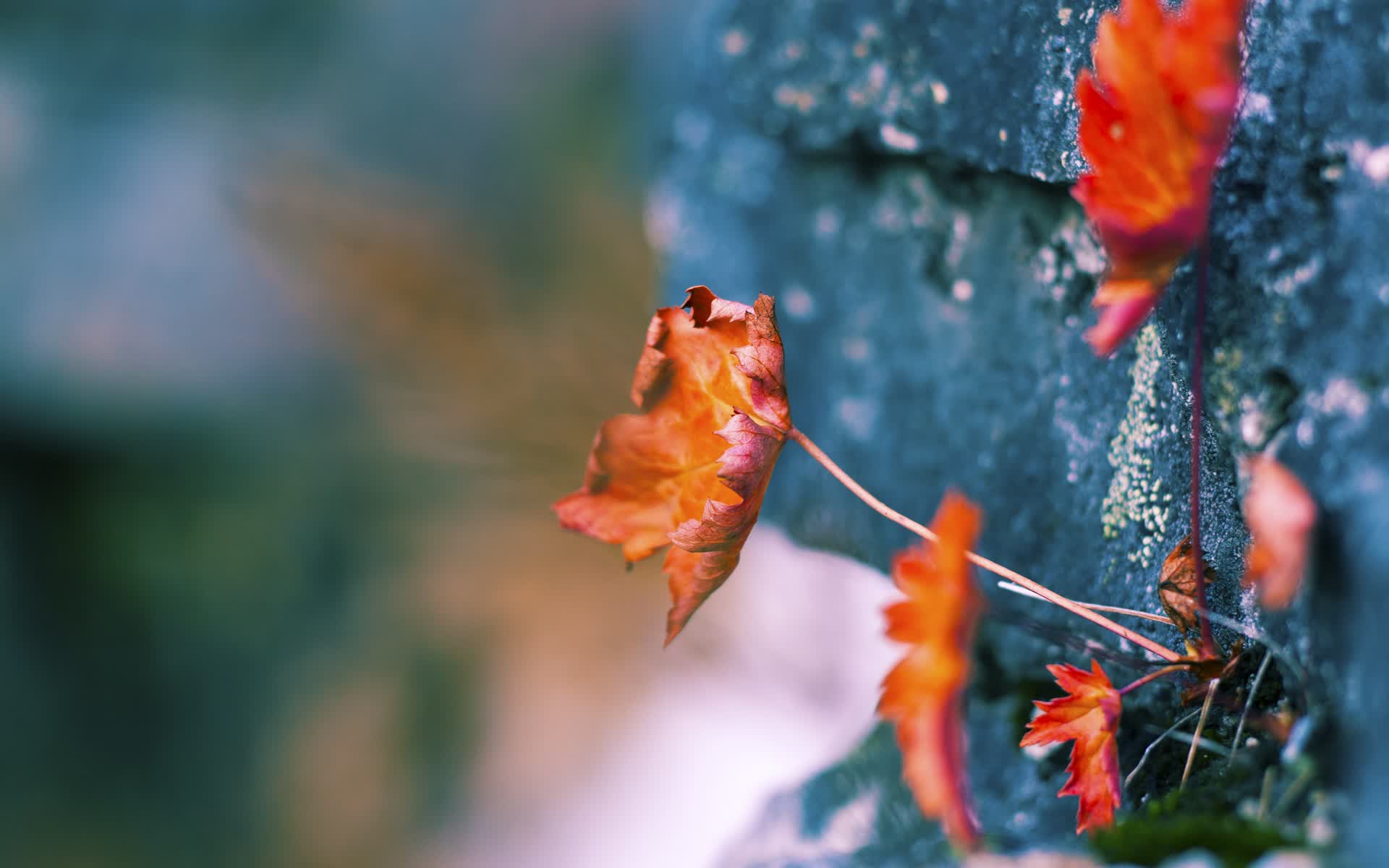 世界射箭技巧公开课:金牌教练带队训练示范,射箭运动员世界排名